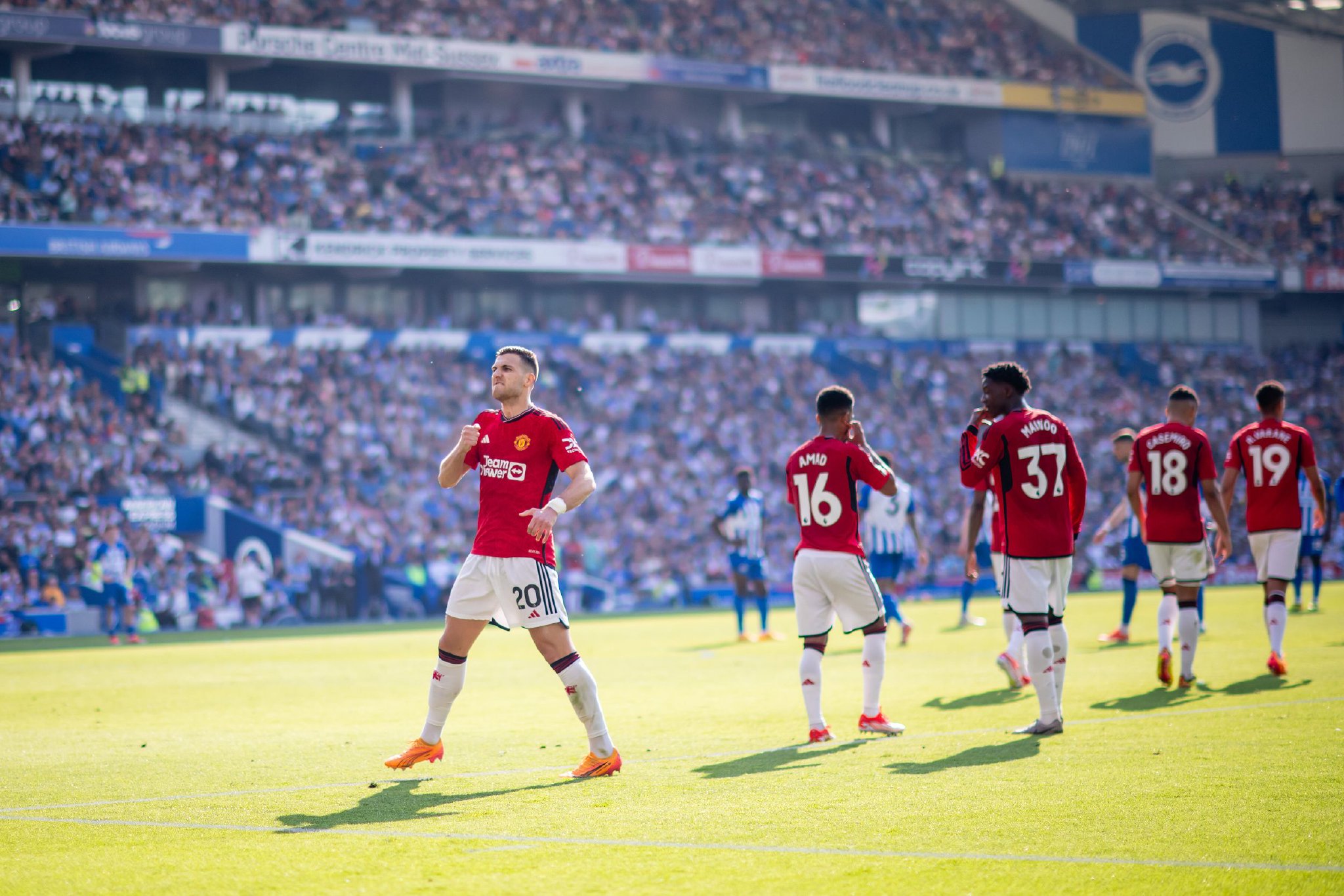 作真正的 作真正的